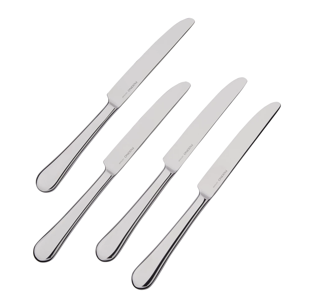 PADERNO 4pc Stainless Steel Dinner Knives